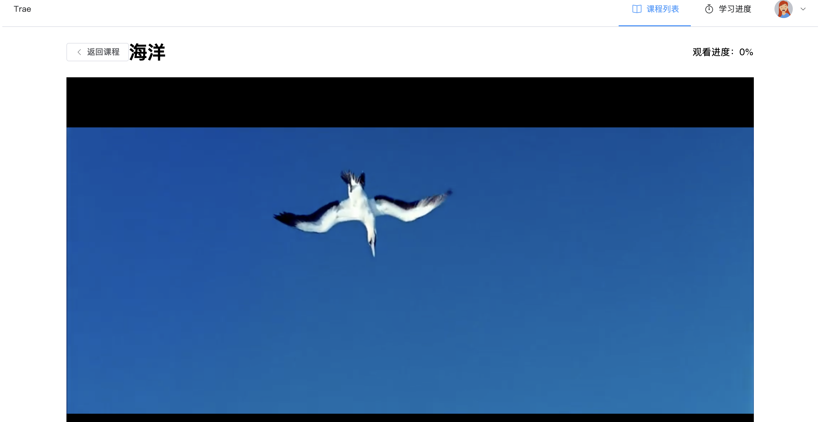 在线看课demo - 4